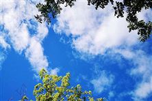 迎“藍”而上！直擊攀枝花、德陽、內江大氣攻堅現場